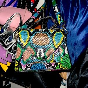 Snake Skin Colorful Purse